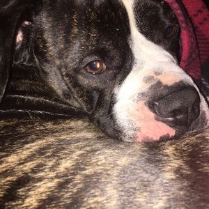 Meet your Posher, Christy